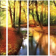 Шкаф с фотопечатью Осенний лес